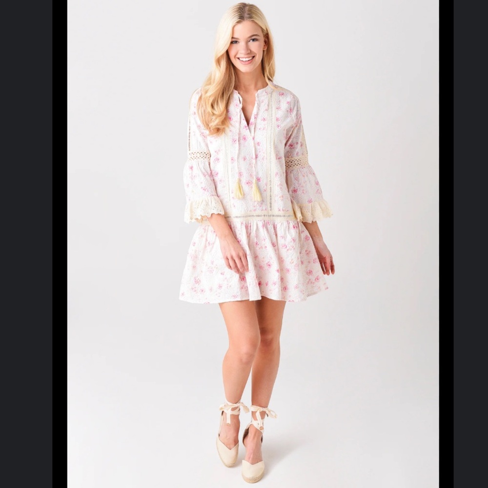 ALLISON NEW YORK Embroidered Drop Waist Dress XS